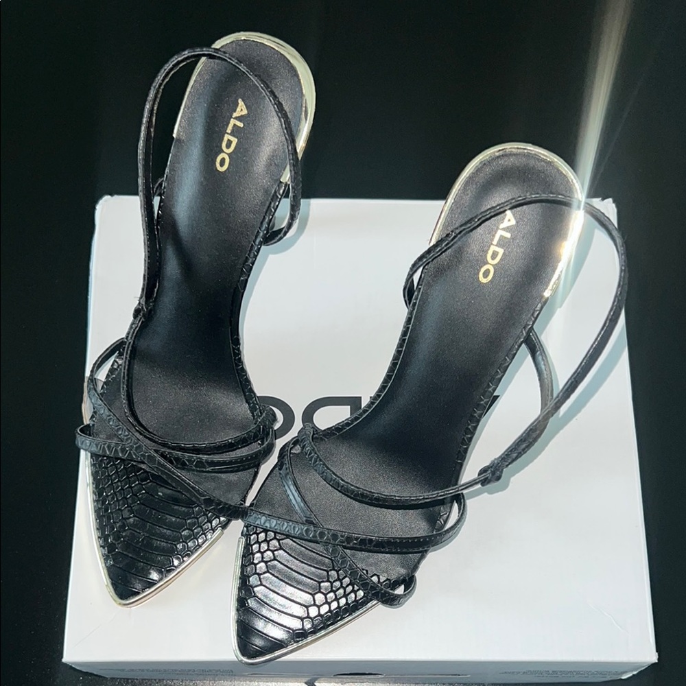 Aldo Elegant Black Heel